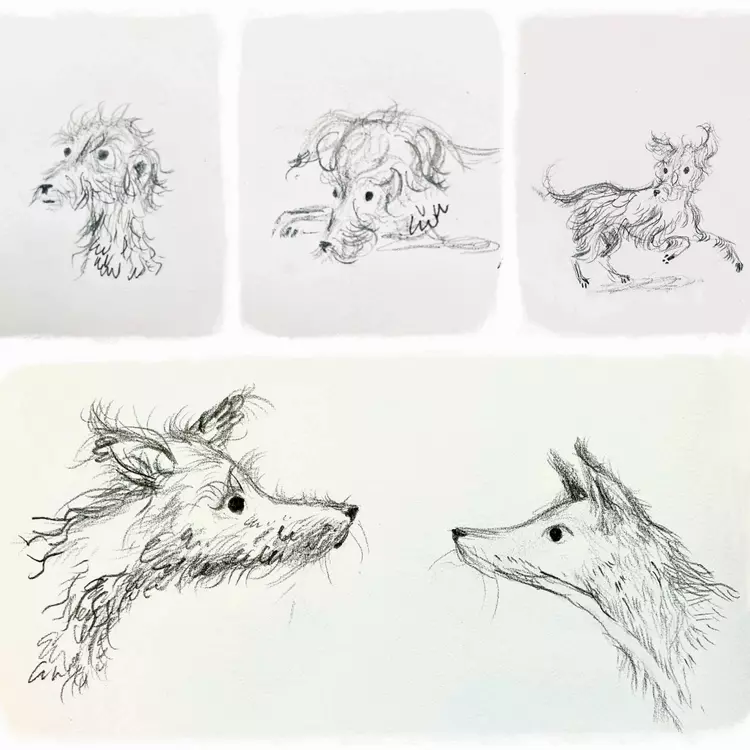 Pencil drawings of a scruffy dog called Wendy. Pictures are of the dog looking sad, running and meeting a fox. All pictures are drawn in pencil 